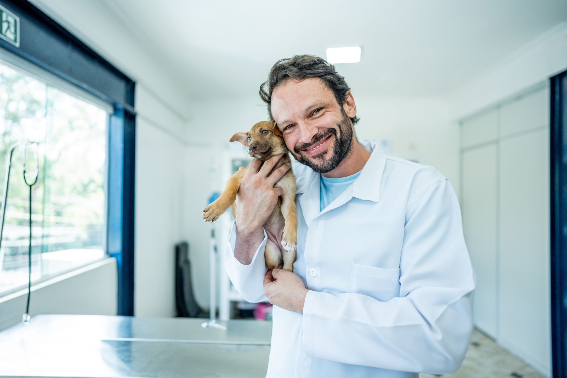 Portrait of a veterinarian carrying a dog in an animal clinic